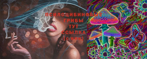 альфа пвп Няндома