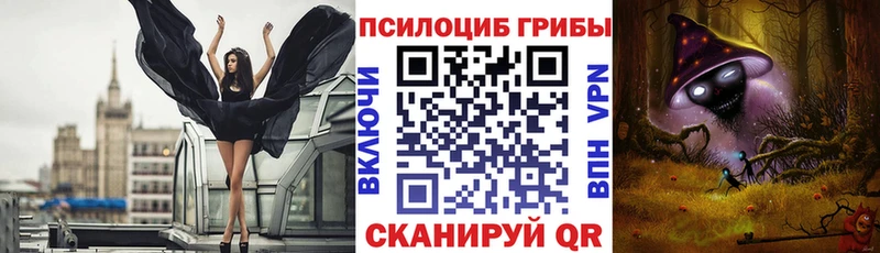 Галлюциногенные грибы Psilocybe купить закладку Анапа